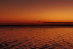 IMG_20230125_205533