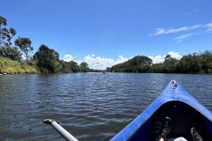 IMG_9881