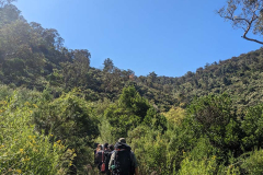 PXL_20230107_045339420.MP_