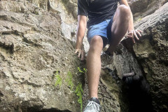 IMG_4411