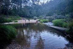 IMG_8768.jpeg