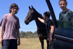 IMG_9966.jpeg